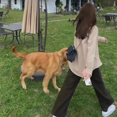 妈妈和爸爸